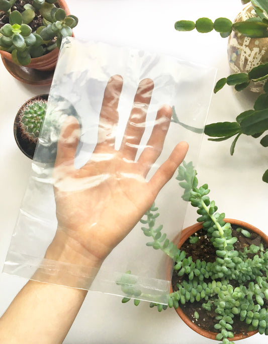 Reducing Our Plastic Impact - Miniature Rhino